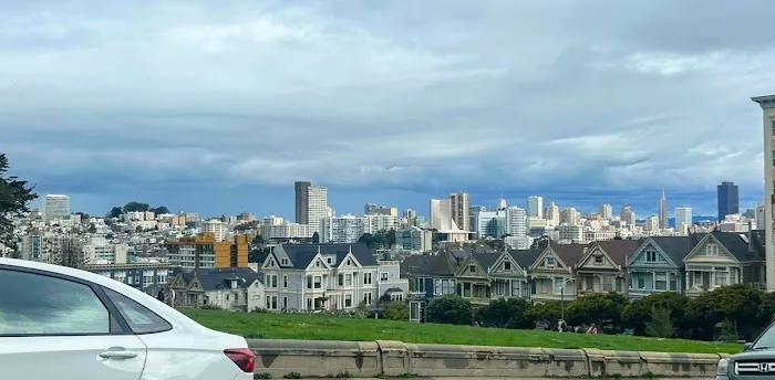 Alamo Square Dog Play Area 2
