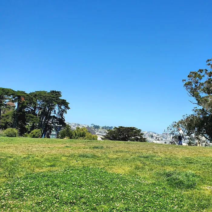 Alamo Square Dog Play Area 5