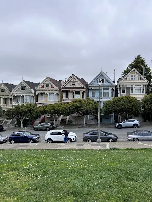 Alamo Square Dog Play Area 7