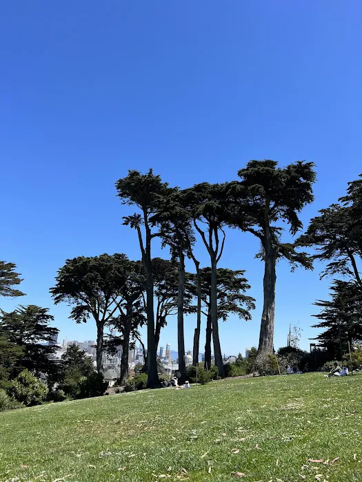 Alamo Square Dog Play Area 4
