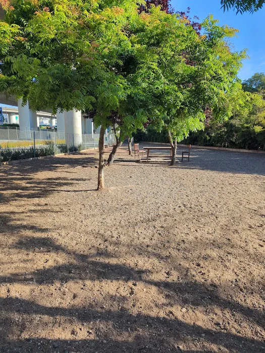 Progress Dog Run 2