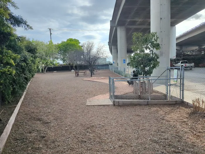 Progress Dog Run 4