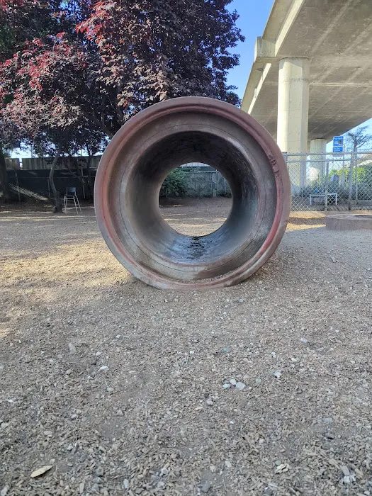 Progress Dog Run 8