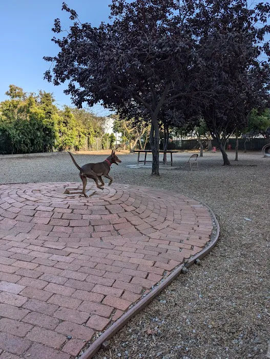 Progress Dog Run 3