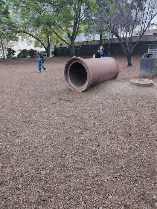 Progress Dog Run 5