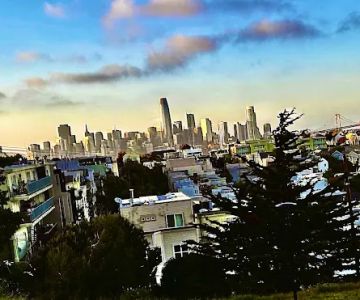 Potrero Hill Dog Play Area