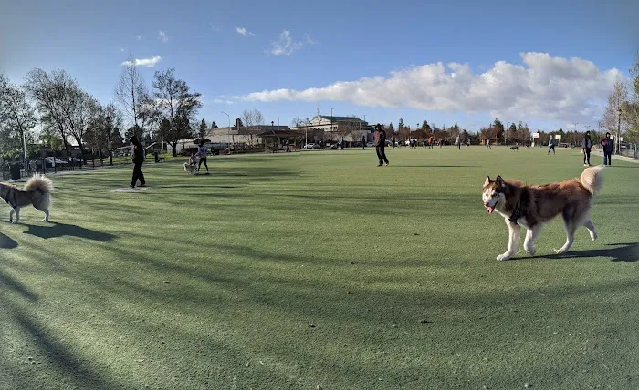 Central Park Dog Park 9