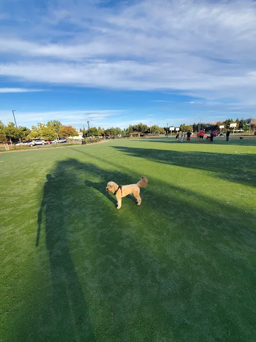 Central Park Dog Park 3