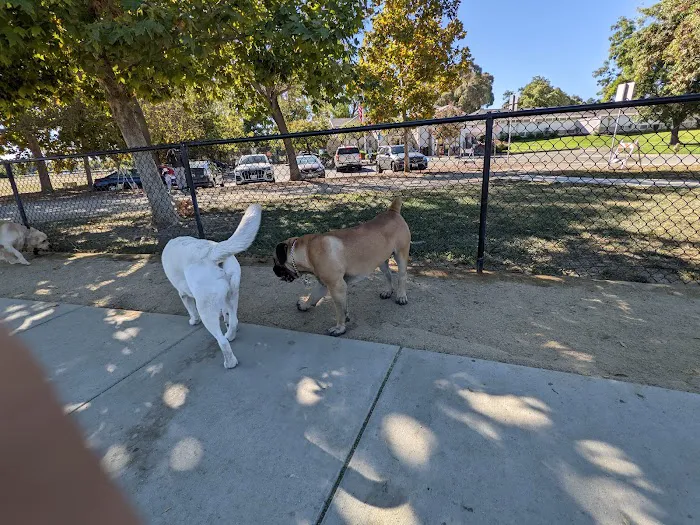 Central Park Dog Park 8