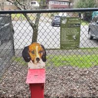 Villa Chanticleer Dog Park ico