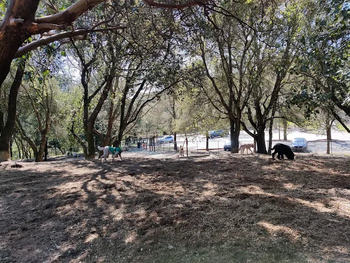 Villa Chanticleer Dog Park 6