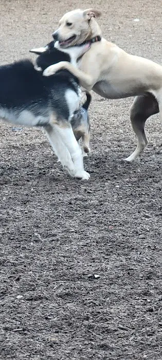 Villa Chanticleer Dog Park 8