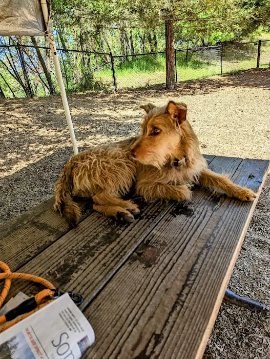 Villa Chanticleer Dog Park 5