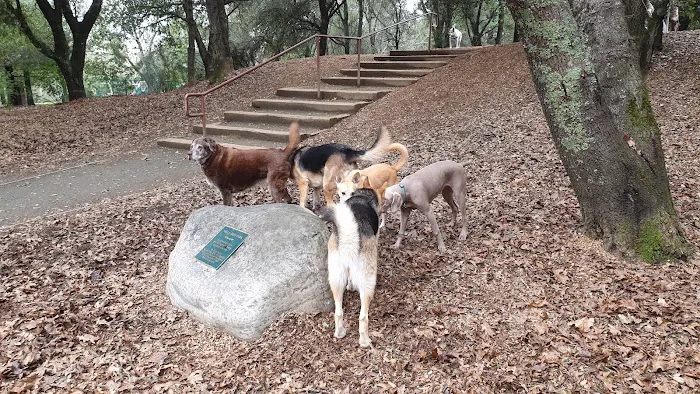 Villa Chanticleer Dog Park 3