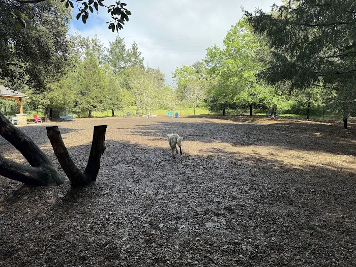 Villa Chanticleer Dog Park 10