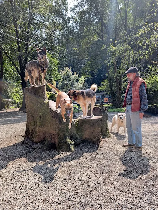 Bruno Farnocchia Dog Park 3