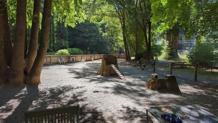 Bruno Farnocchia Dog Park 10