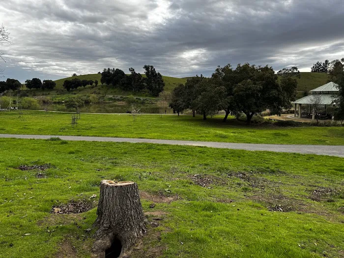 City of Milpitas Dog Park at Ed R. Levin 7