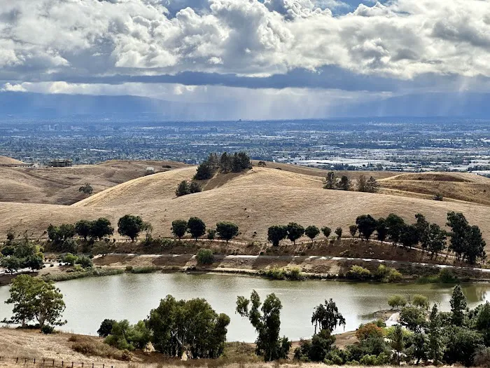 City of Milpitas Dog Park at Ed R. Levin 6