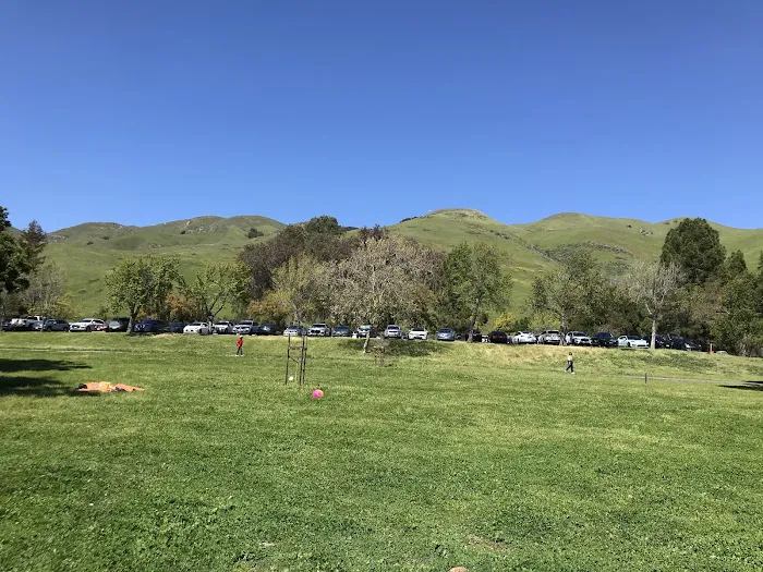 City of Milpitas Dog Park at Ed R. Levin 1