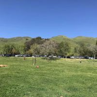 City of Milpitas Dog Park at Ed R. Levin ico