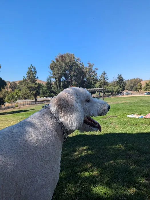 City of Milpitas Dog Park at Ed R. Levin 2