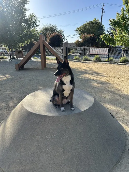 Newbark Dog Park 7
