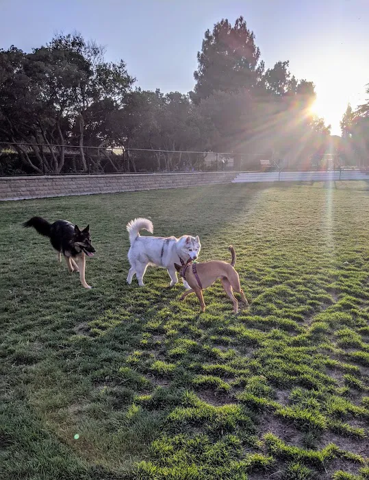 Newbark Dog Park 2