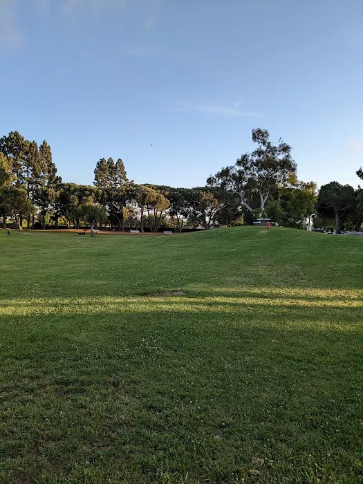 Newbark Dog Park 6