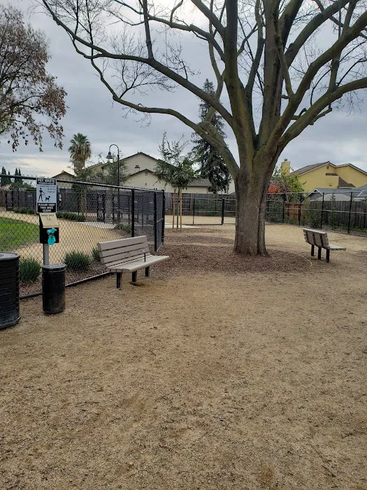 Creighton Dog Park 3