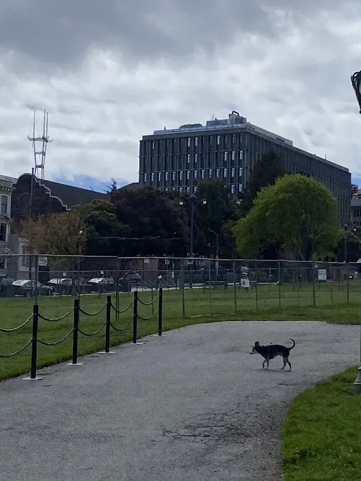 Duboce Park 1