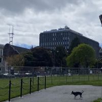 Duboce Park ico