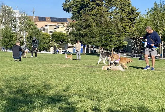 Duboce Park 2
