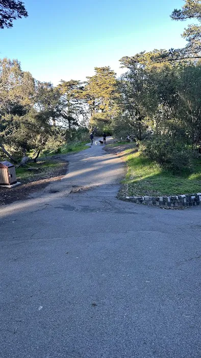 Buena Vista Dog Play Area 10