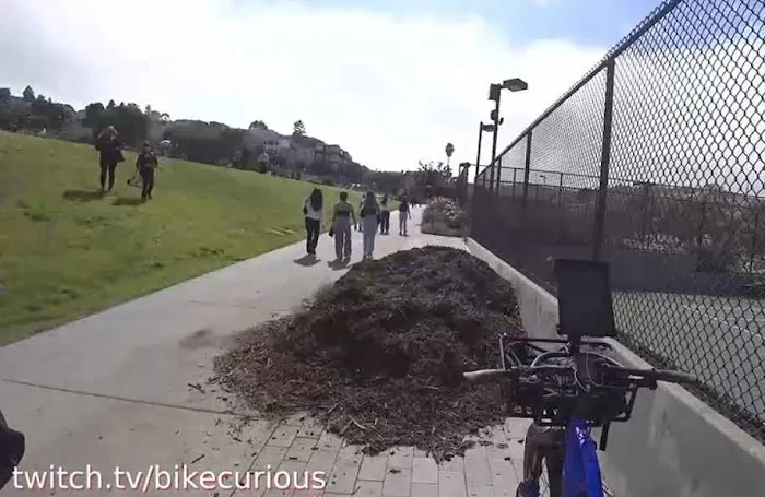 Mission Dolores Dog Play Area North 1