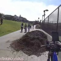 Mission Dolores Dog Play Area North ico