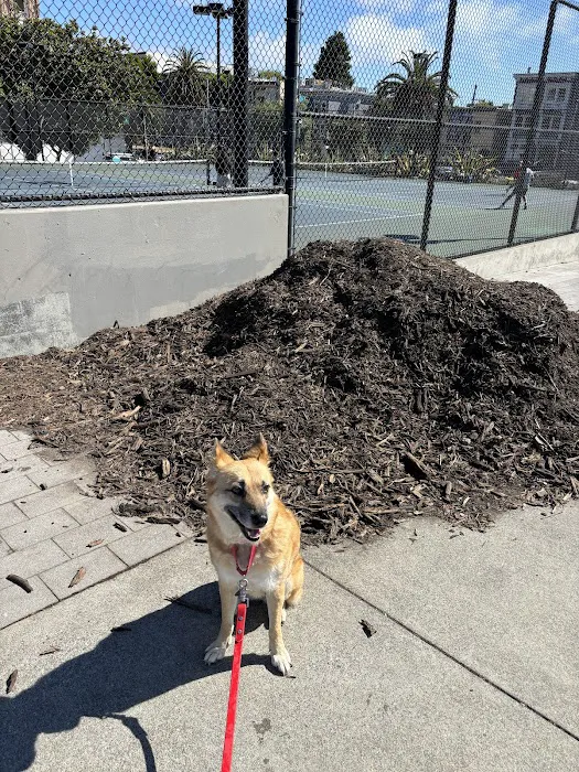 Mission Dolores Dog Play Area North 9