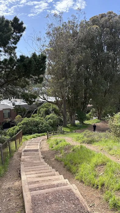Corona Heights Dog Run 6