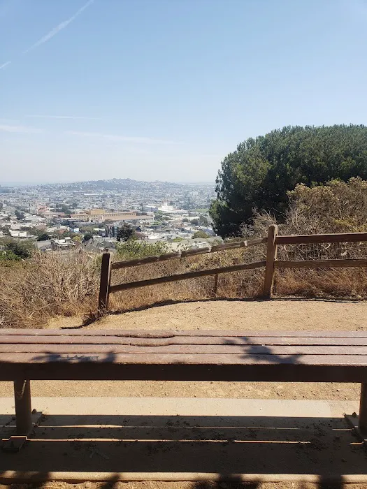 Corona Heights Dog Run 9