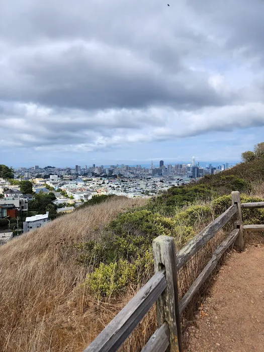 Corona Heights Dog Run 3