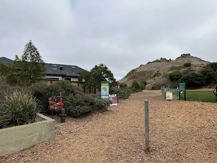 Corona Heights Dog Run 8