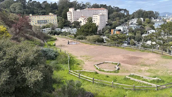 Corona Heights Dog Run 5