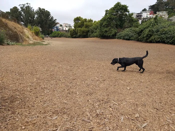 Corona Heights Dog Run 10