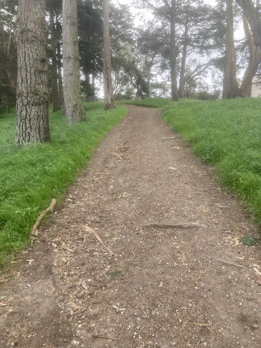 GGP Dog Play Area 1 1