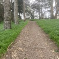 GGP Dog Play Area 1 ico