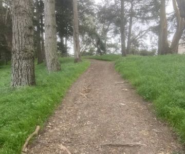 GGP Dog Play Area 1