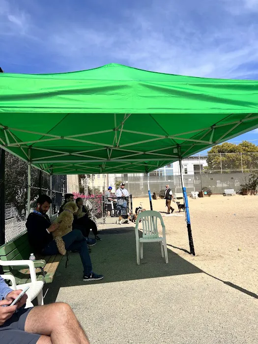 Eureka Valley Dog Play Area 4