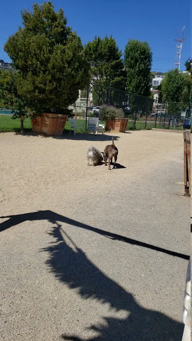 Eureka Valley Dog Play Area 1