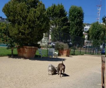 Eureka Valley Dog Play Area