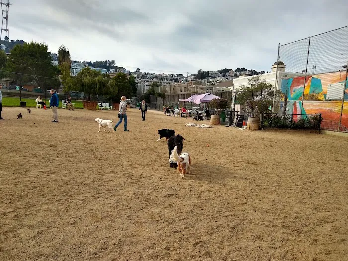 Eureka Valley Dog Play Area 8